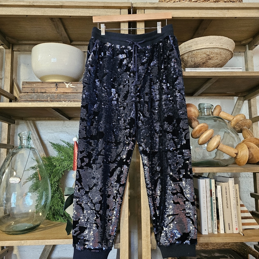 Anthropologie Luxe Velvet Sequin Joggers Navy Blue Sz L |  Party Pants